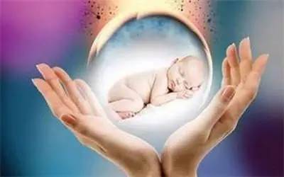 体外受精 IVF-ET